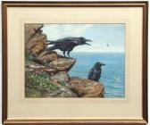 HENRY George Morrison R. Ravens On A Cornish Cliff HENRY George Morrison R. Ravens On A Cornish Cliff