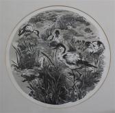 HERMES Gertrude Anna B. The Avocets HERMES Gertrude Anna B. The Avocets