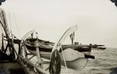 HICKS Herbert William A Collection Of Whaling Photographs HICKS Herbert William A Collection Of Whaling Photographs