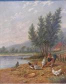 HILL Howard Chickens And Roosters In A River Landscape HILL Howard Chickens And Roosters In A River Landscape