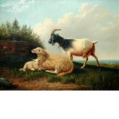 HILL Howard Goats In A Pasture HILL Howard Goats In A Pasture
