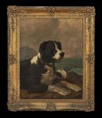 HINCKLEY Thomas Hewer Portrait Of A Spaniel Looking Out To Sea HINCKLEY Thomas Hewer Portrait Of A Spaniel Looking Out To Sea