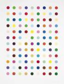 HIRST Damien Flumequine HIRST Damien Flumequine