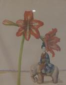 HOCKEY Patrick Hippeastrum HOCKEY Patrick Hippeastrum