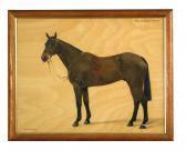 HOLLAMS Florence Mabel Study Of "morgan's Pride", A Bay Hunter HOLLAMS Florence Mabel Study Of "morgan's Pride", A Bay Hunter
