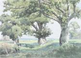 HOLMAN Edwin Charles Pascoe Old Oaks At Bisterne Park Hampshire HOLMAN Edwin Charles Pascoe Old Oaks At Bisterne Park Hampshire