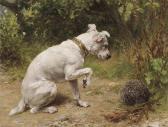 HOLMES George Augustus A Prickly Encounter HOLMES George Augustus A Prickly Encounter