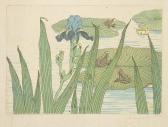 HOUDARD Charles Grenouilles, Iris Et Nénuphars HOUDARD Charles Grenouilles, Iris Et Nénuphars