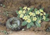 HOUGH William Still Life Of A Bird's Nest And Primroses On A Mossy Bank HOUGH William Still Life Of A Bird's Nest And Primroses On A Mossy Bank