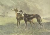 HUNT AND SON Honeywood, Winner Of The Waterloo Cup HUNT AND SON Honeywood, Winner Of The Waterloo Cup