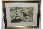 HUNT Eva Michaelmas Daisies HUNT Eva Michaelmas Daisies