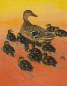 HUNT Lynn Bogue Mallards HUNT Lynn Bogue Mallards