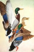 HUNT Lynn Bogue Mallards Rising HUNT Lynn Bogue Mallards Rising