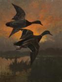 HUNT Lynn Bogue Mallards HUNT Lynn Bogue Mallards