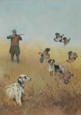 HUNT Lynn Bogue Quail Shooting With Setter And Pointer HUNT Lynn Bogue Quail Shooting With Setter And Pointer