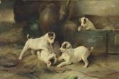 HUNT Walter Four Puppies At Play HUNT Walter Four Puppies At Play