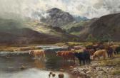 HURT Louis Bosworth Cattle Crossing The River Garie, Kinlochewe, Scotland HURT Louis Bosworth Cattle Crossing The River Garie, Kinlochewe, Scotland