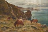 HURT Louis Bosworth Shetland-ponys An Der Schottischen Küste HURT Louis Bosworth Shetland-ponys An Der Schottischen Küste