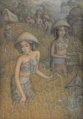 I KETUT Djawi Harvesting I KETUT Djawi Harvesting