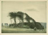 ILSTED Peter Vilhelm Landschaft Bei Fredensborg ILSTED Peter Vilhelm Landschaft Bei Fredensborg