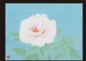 INOUE Minoru Peony INOUE Minoru Peony