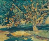 INSUNG Lee Apple Tree INSUNG Lee Apple Tree