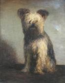 JACKSON Frederick William Study Of A Yorkshire Terrier JACKSON Frederick William Study Of A Yorkshire Terrier