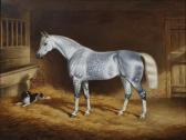 JACKSON George A Dappled Grey Hunter And A Spaniel In A Stable JACKSON George A Dappled Grey Hunter And A Spaniel In A Stable