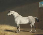 JACKSON George Cheval Blanc Dans Une Étable JACKSON George Cheval Blanc Dans Une Étable