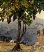 JAMIESON Alexander The Old Vine, San Gimigniano, Italy JAMIESON Alexander The Old Vine, San Gimigniano, Italy