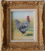 Janet Emma BOYD Pastel Rooster Janet Emma BOYD Pastel Rooster