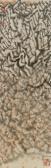 JIANG BAOLING Outlined Landscape JIANG BAOLING Outlined Landscape