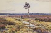 JOHN eugen Landschaft Mit Blühender Heide JOHN eugen Landschaft Mit Blühender Heide