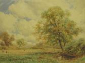 JOHNSON W. Noel Cheshire Fields JOHNSON W. Noel Cheshire Fields