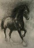 JONES Aneurin M. Study Of A Prancing Black Pony JONES Aneurin M. Study Of A Prancing Black Pony