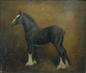 JONES Herbert H. St.John Creweshire Horse Society Cup Winner 1934 The Filly Foal Red Hall Lady Ingrey JONES Herbert H. St.John Creweshire Horse Society Cup Winner 1934 The Filly Foal Red Hall Lady Ingrey