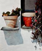 JORGE DUARTE "ventana Con Macetas". JORGE DUARTE "ventana Con Macetas".