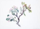JORGENSEN Patricia Still Life Study JORGENSEN Patricia Still Life Study