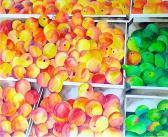 KARWOSKI richard c. Peaches And Pears KARWOSKI richard c. Peaches And Pears