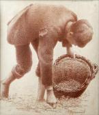 KAVANAGH Joseph Malachy "gathering Mushrooms" - A Study KAVANAGH Joseph Malachy "gathering Mushrooms" - A Study