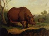 KEHRER Christian Wilhelm K. Rhinoceros KEHRER Christian Wilhelm K. Rhinoceros