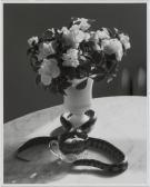 Kertész André Still Life With Snake June 2- 1960 N.y. Kertész André Still Life With Snake June 2- 1960 N.y.