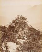 KING Henry John Yeend Untitled KING Henry John Yeend Untitled