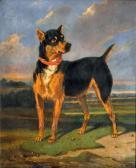 KIOERBOE Carl Fredrik Le Malinois Français KIOERBOE Carl Fredrik Le Malinois Français
