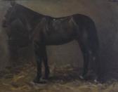 KIRANSE M Horse In A Loosebox KIRANSE M Horse In A Loosebox