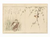 KITAGAWA UTAMARO I Wren And Snipe KITAGAWA UTAMARO I Wren And Snipe