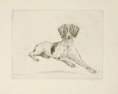 KLEMM Walther Sechs Hundedarstellungen KLEMM Walther Sechs Hundedarstellungen