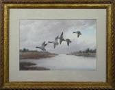 KNAP Joseph Day Geese Dropping In KNAP Joseph Day Geese Dropping In