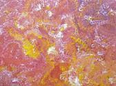 KNGWARREYE Emily Kame Bush Yam KNGWARREYE Emily Kame Bush Yam