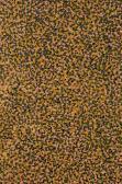 KNGWARREYE Emily Kame My Anooralya Story KNGWARREYE Emily Kame My Anooralya Story